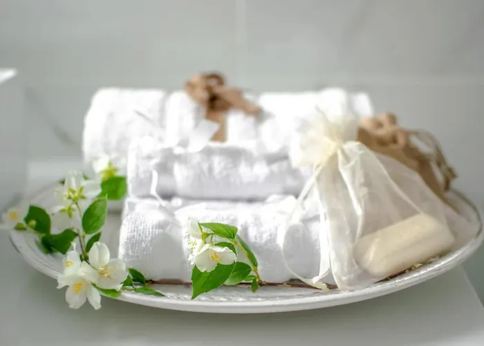 Fileo Family And Friends Living